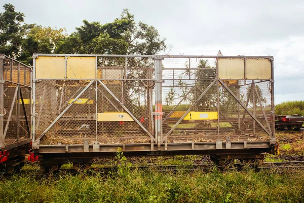 Sugar Cane Train in Queensland Australia — Stock Photo, Image