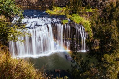 Millstream Falls Ulusal Parkı