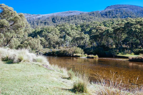 Thredo Valley Track nel Nuovo Galles del Sud Australia — Foto Stock