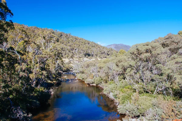 Thredo Valley Track i New South Wales Australien — Stockfoto