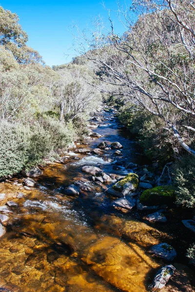 Thredo Valley Track in New South Wales Australien — Stockfoto