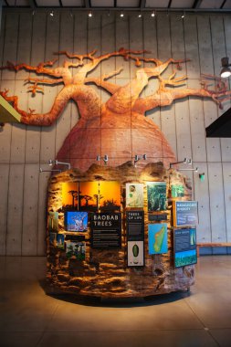 Kaliforniya Bilimler Akademisi ABD