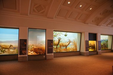 Kaliforniya Bilimler Akademisi ABD