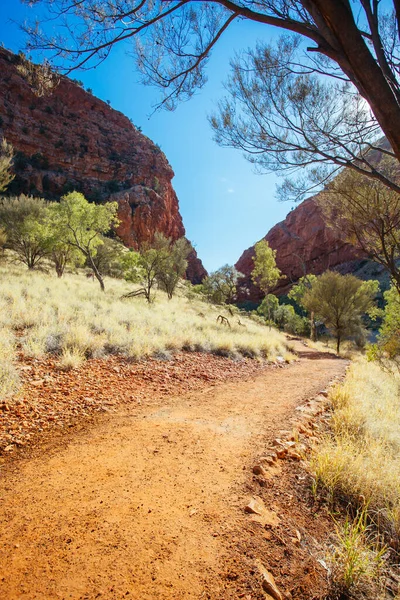 Simpsons Gap cerca de Alice Springs en Australia —  Fotos de Stock