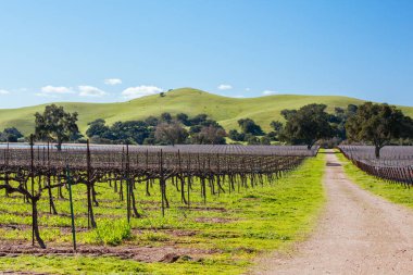 Santa Ynez Vadisi Kaliforniya ABD