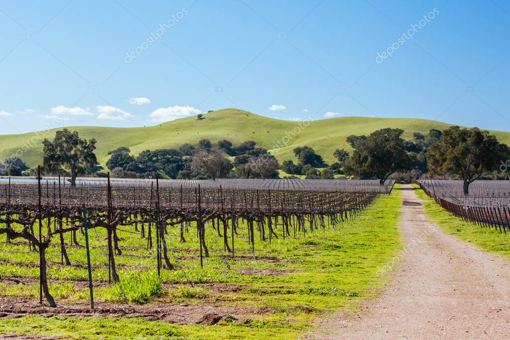 SANTA YNEZ