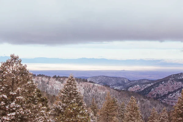 Utsikt från Cloudcroft New Mexico USA — Stockfoto