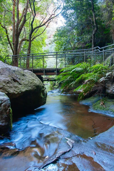 Leura Cascades Blue Mountains Ausztrália — Stock Fotó