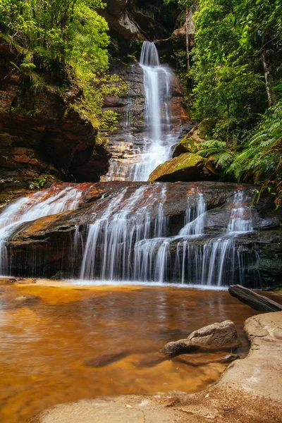 Leura Cascades Blue Mountains Ausztrália — Stock Fotó