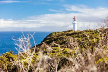 Avustralya 'daki Cape Schanck Deniz Feneri