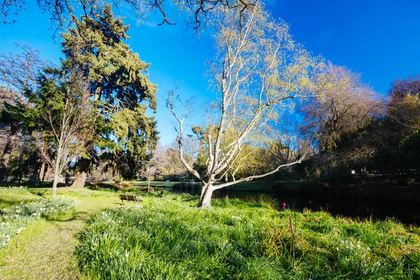 Christchurch Botanic Gardens in New Zealand — Stock Photo, Image