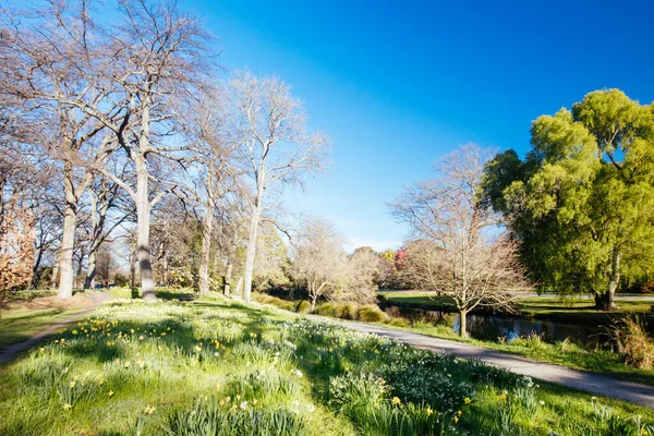 Christchurch Botanic Gardens en Nueva Zelanda —  Fotos de Stock