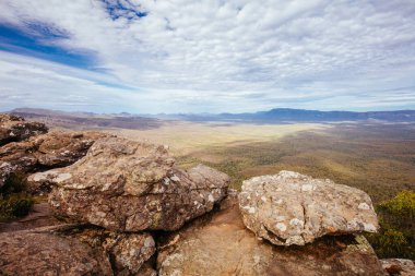 Reeds Gözcü Büyükbabalar