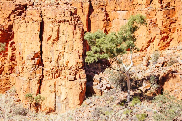 Ormiston Gorge na Terytorium Północnym Australii — Zdjęcie stockowe