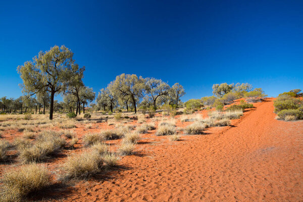 Outback Landscape in Northern Territory Australia