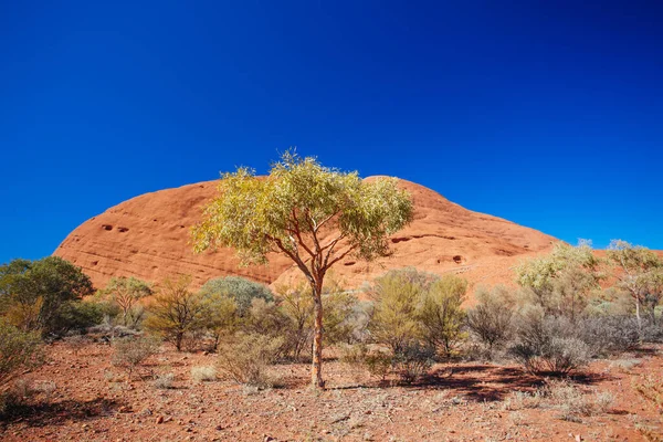 Het Olgas Northern Territory Australië — Stockfoto