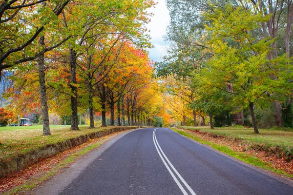 Khancoban in New South Wales Australia — Stock Photo, Image