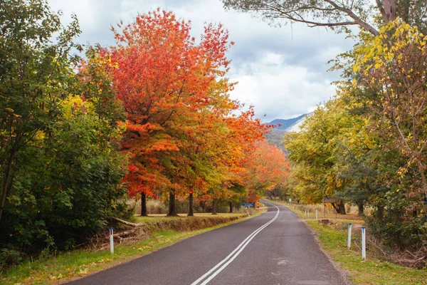 Khancoban in New South Wales Australia — Stock Photo, Image