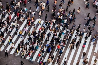 Shibuya Tokyo 'yu geçiyor.