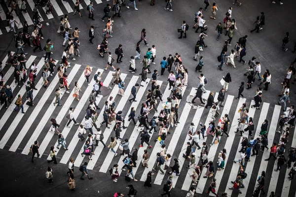 Shibuya Tokyo 'yu geçiyor.