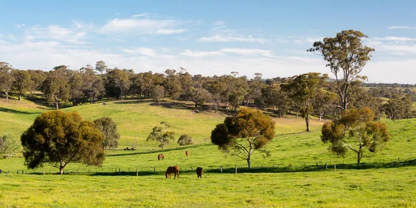 Krajobraz kraju w pobliżu Maldon Victoria Australia — Zdjęcie stockowe