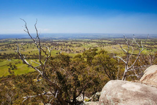 Země Krajina Mt Alexander Regional Park Victoria Austrálie — Stock fotografie