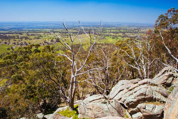 Paisagem do país Mt Alexander Regional Park Victoria Australia — Fotografia de Stock