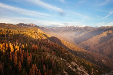 Kaliforniya 'daki Sequoia Ulusal Parkı
