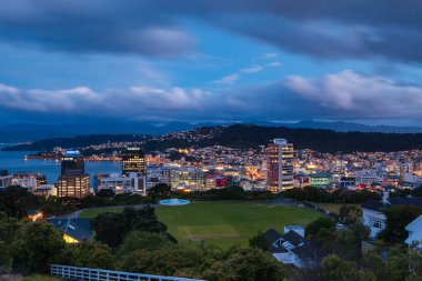 Wellington Skyline Yeni Zelanda 'da