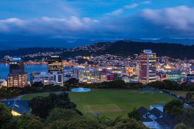 Wellington Skyline Yeni Zelanda 'da