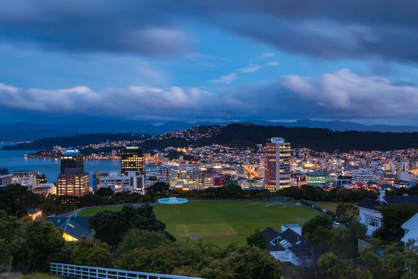 Wellington Skyline Yeni Zelanda 'da — Stok fotoğraf