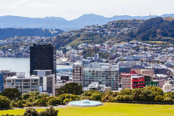 Wellington Skyline στη Νέα Ζηλανδία — Φωτογραφία Αρχείου