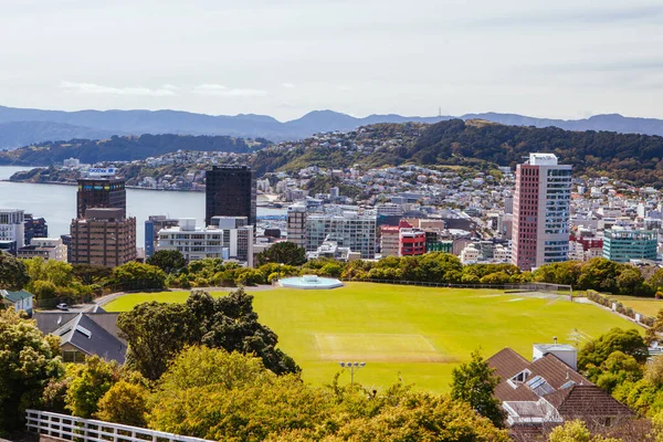 ニュージーランドのウェリントンスカイライン — ストック写真