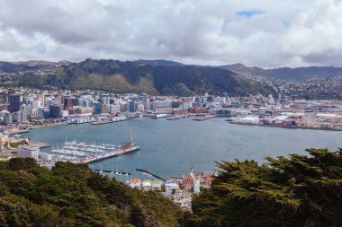 Wellington Skyline Yeni Zelanda 'da