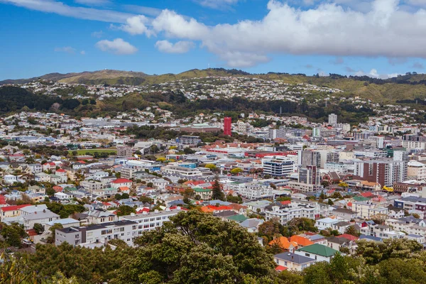 Wellington Skyline у Новій Зеландії — стокове фото