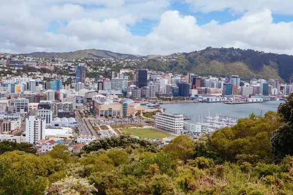 Wellington Skyline w Nowej Zelandii — Zdjęcie stockowe