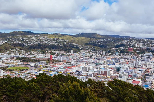 Wellington Skyline Yeni Zelanda 'da — Stok fotoğraf
