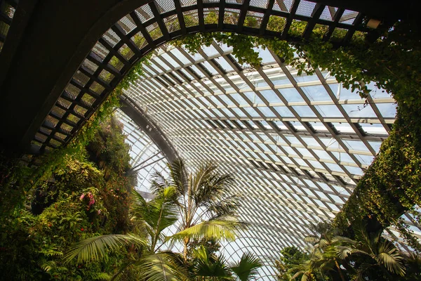 Gardens By The Bay in Singapore — Stock Photo, Image