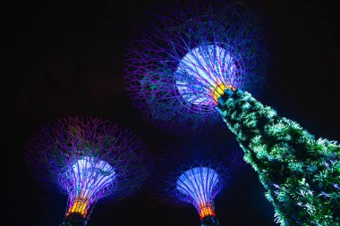 Alacakaranlık 'taki Marina Körfezi' ne bak.