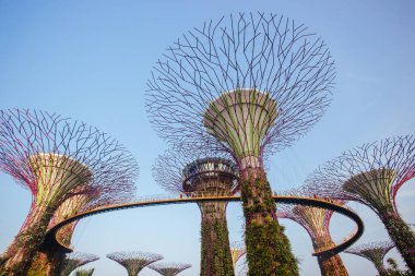 Singapur Körfezi 'ndeki Bahçeler