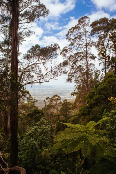 Fred Piper Memorial Lookout Australia — Foto Stock