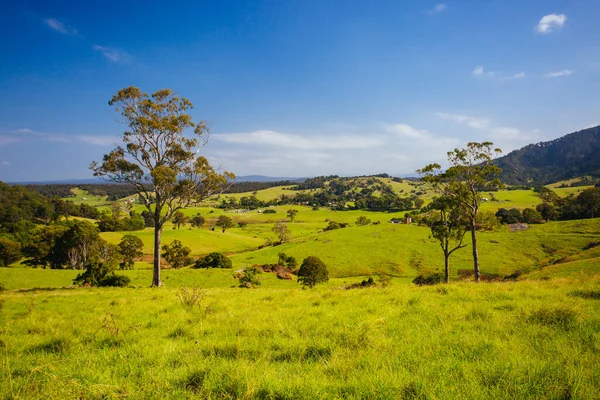 Tilba Tilba Landschap in Australië — Stockfoto