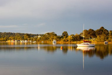 Narooma Avustralya 'da Wagonga Körfezi