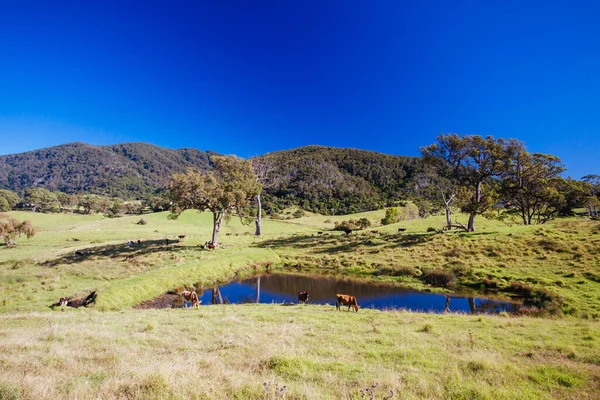 Tilba Tilba Landschap in Australië — Stockfoto