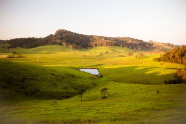 Tilba Tilba Avustralya 'da