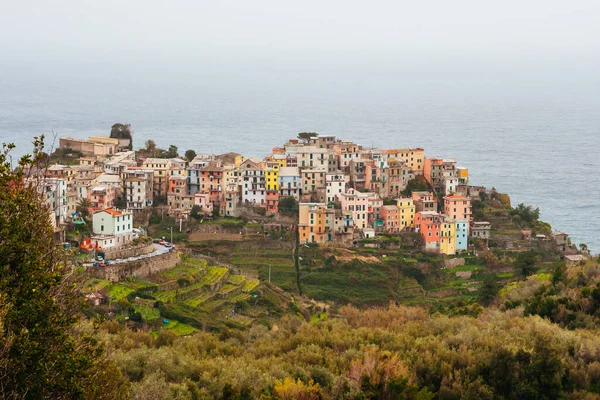 イタリアのCornigliaへの眺め — ストック写真