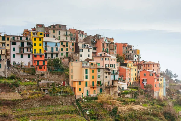 Vista verso Corniglia in Italia — Foto Stock