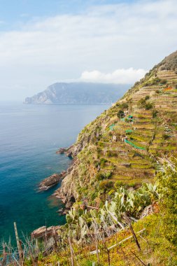 İtalya 'da Cinque Terre View