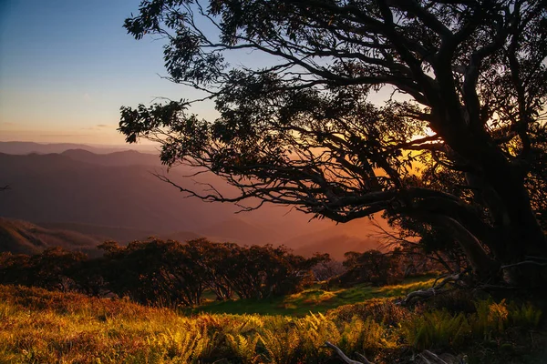 Mt Buller Sunset View Austrália — Fotografia de Stock