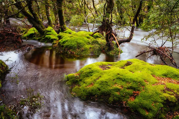 Berço Montanha Paisagem Tasmânia Austrália — Fotografia de Stock